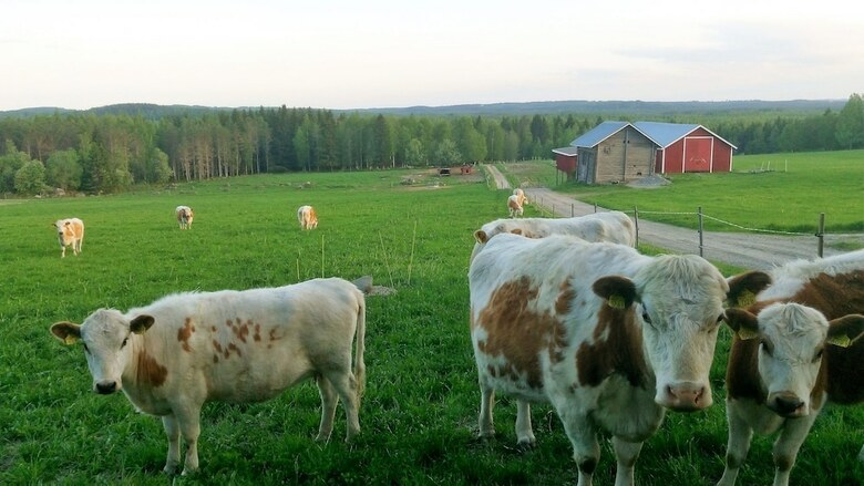 Agroturismo Anssilan Maatila