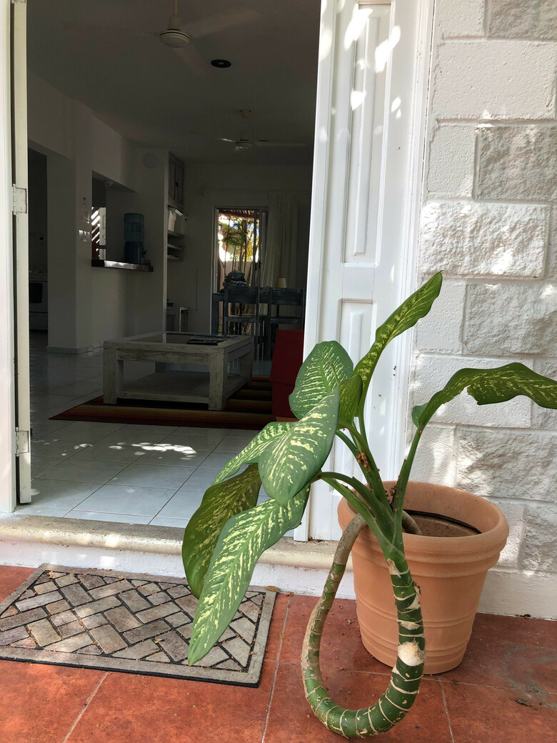 Casa La Palma B&B