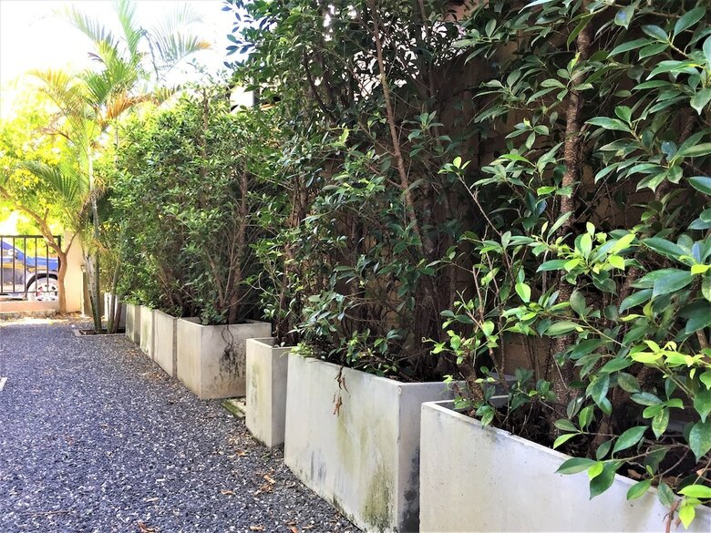 Three Bed Room Villa At Habitia Phuket