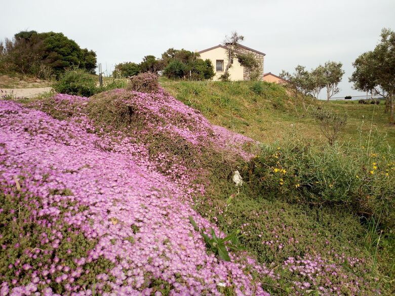 Agroturismo Tenuta Petra Bianca