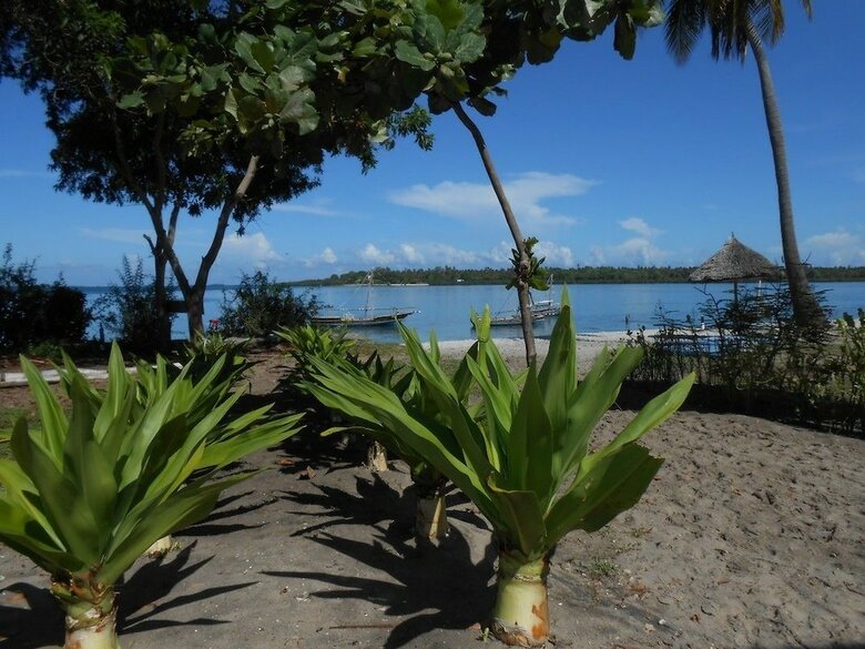 Hotel Mafia Island Lodge