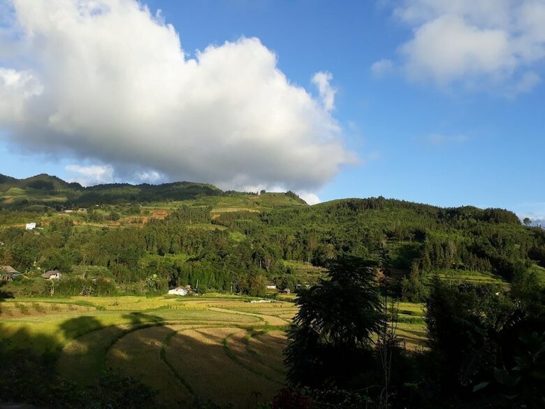 Hostal Homestay Van Khuya