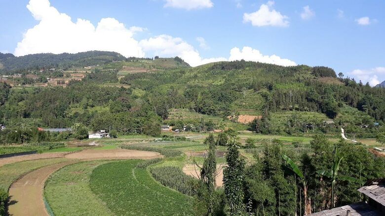 Hostal Homestay Van Khuya