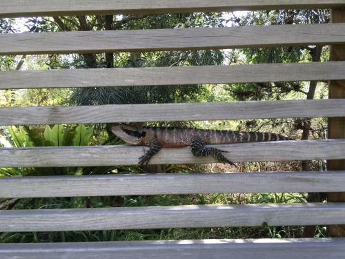 Lane Cove Holiday Park