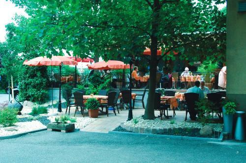 Hostal Gasthof Pfauen