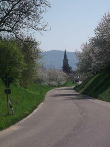 Hostal Gasthaus Schwanen