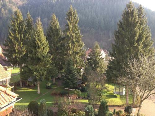 Hostal Hotel-pension Caf� Schacher