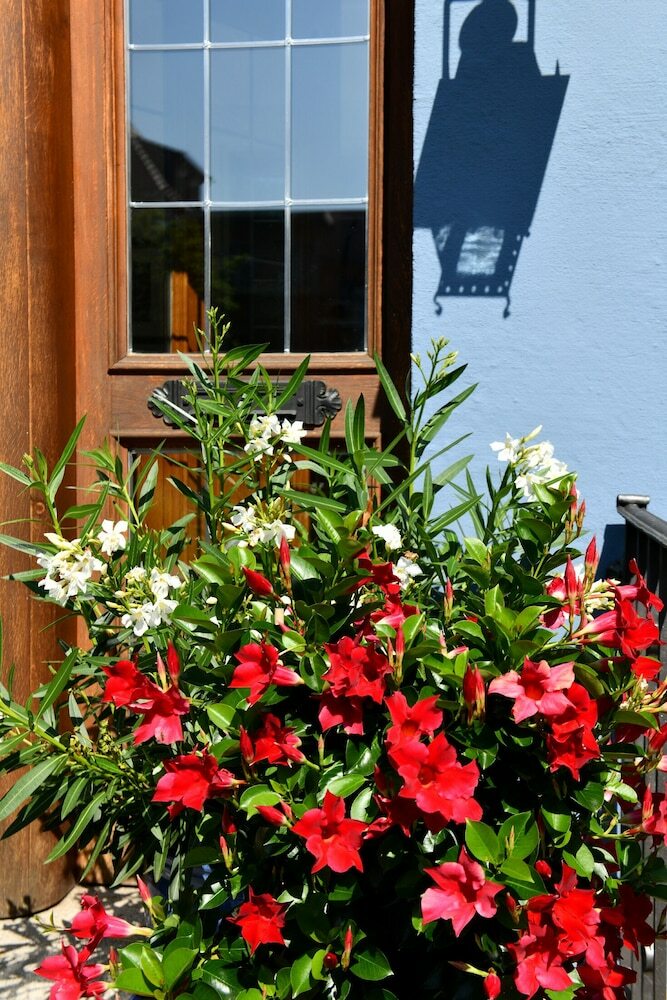 Gasthof Hotel Bezold