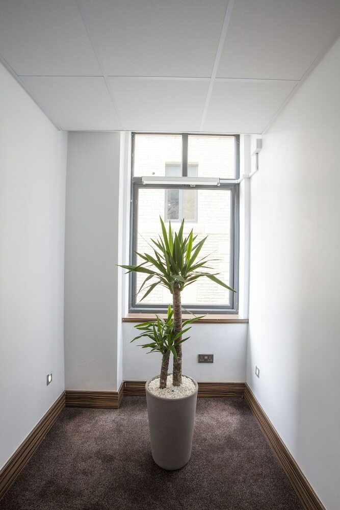 Apartamentos Stayocity Suites