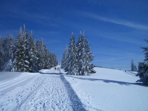 Hostal Gasthaus Sonne