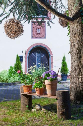 Hostal Bed & Breakfast Alte Klosterm�hle M�nstertal
