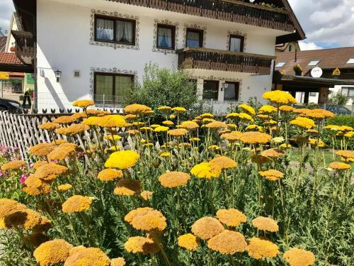 Hotel-pension Zum Bierhaus
