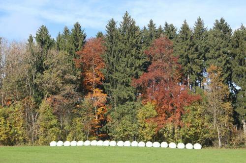 Gasthof Landhotel Hirsch