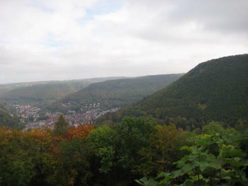 Hostal Gasthof L�wen