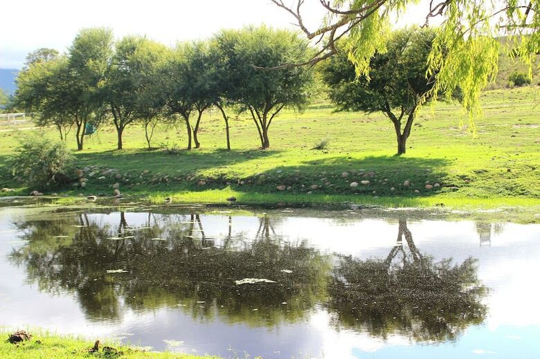 Swellen2 Farm Lodge