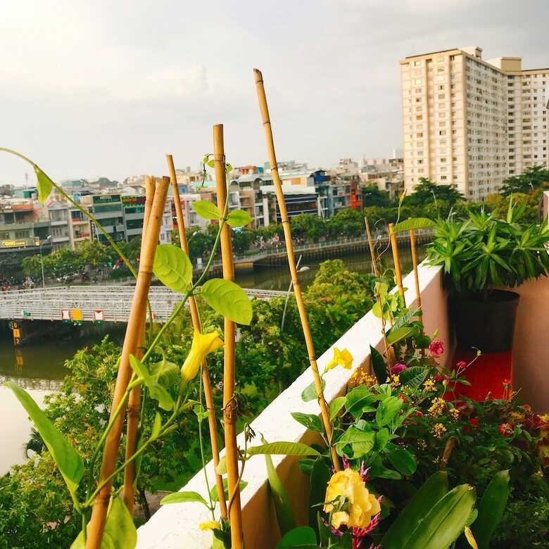 Apartamentos Bee Tropicool