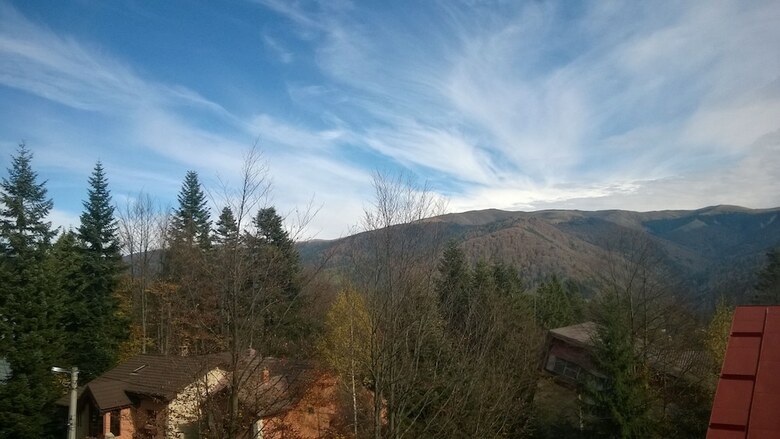 Pensiunea Codrului