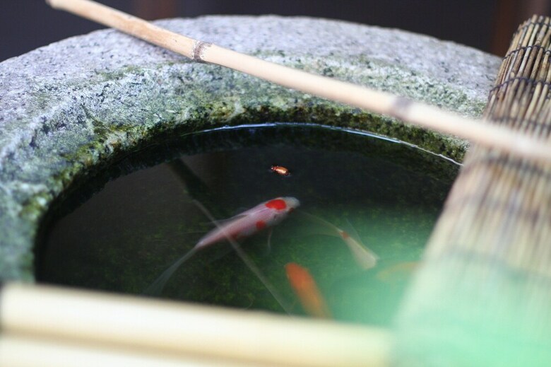 Hostal Guesthouse Kyoto Compass - Hostel
