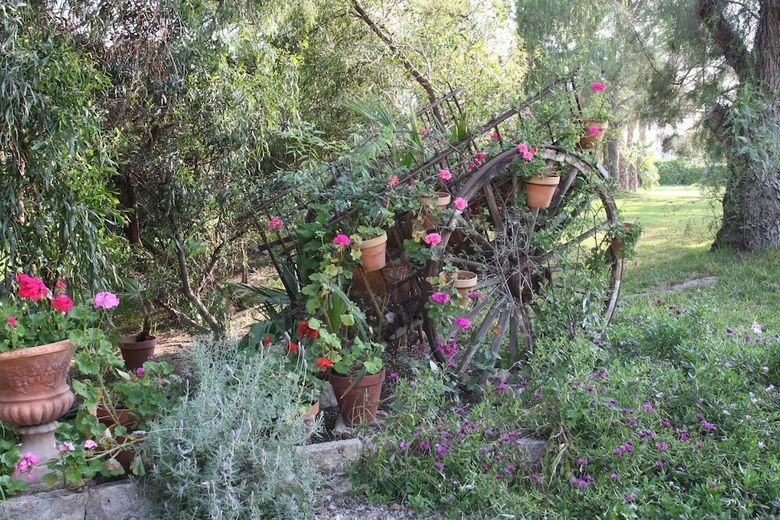 Agroturismo Finca Belon