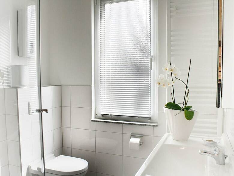 Ferienhaus Bonn Rheinn�he