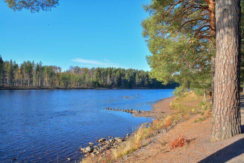 Cabana �lvdalens Camping