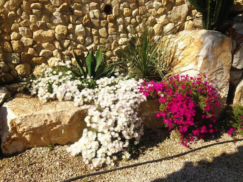 Bed & Breakfast Villa Panoramica Sul Mare