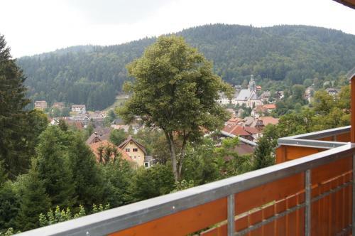 Apartamento Haus Herzogenhorn