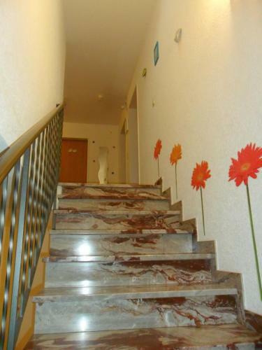 B&B Glatt