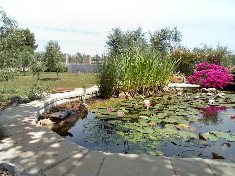 Villa Martina