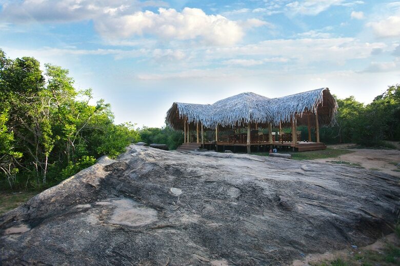 Yala Safari And Relax Camping.