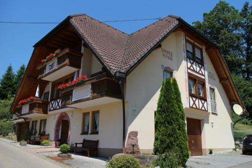 Hostal Landgasthof Adler Pelzm�hle
