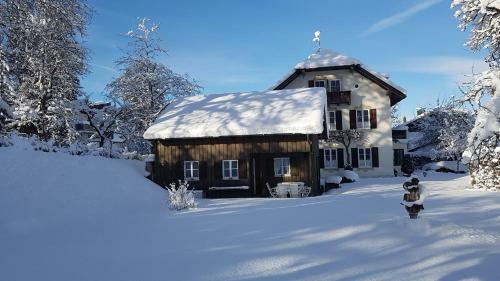 Ferienhaus Alp Chalet