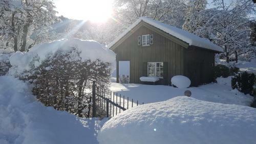 Ferienhaus Alp Chalet