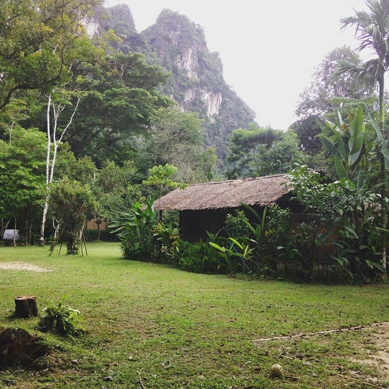 Hotel Our Jungle House