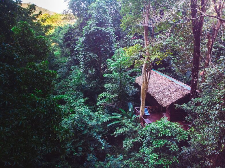 Hotel Our Jungle House