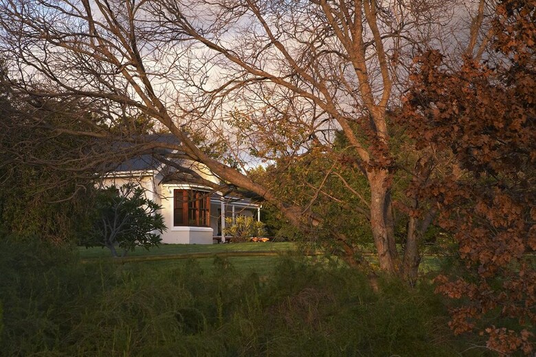 Olive Tree Country House