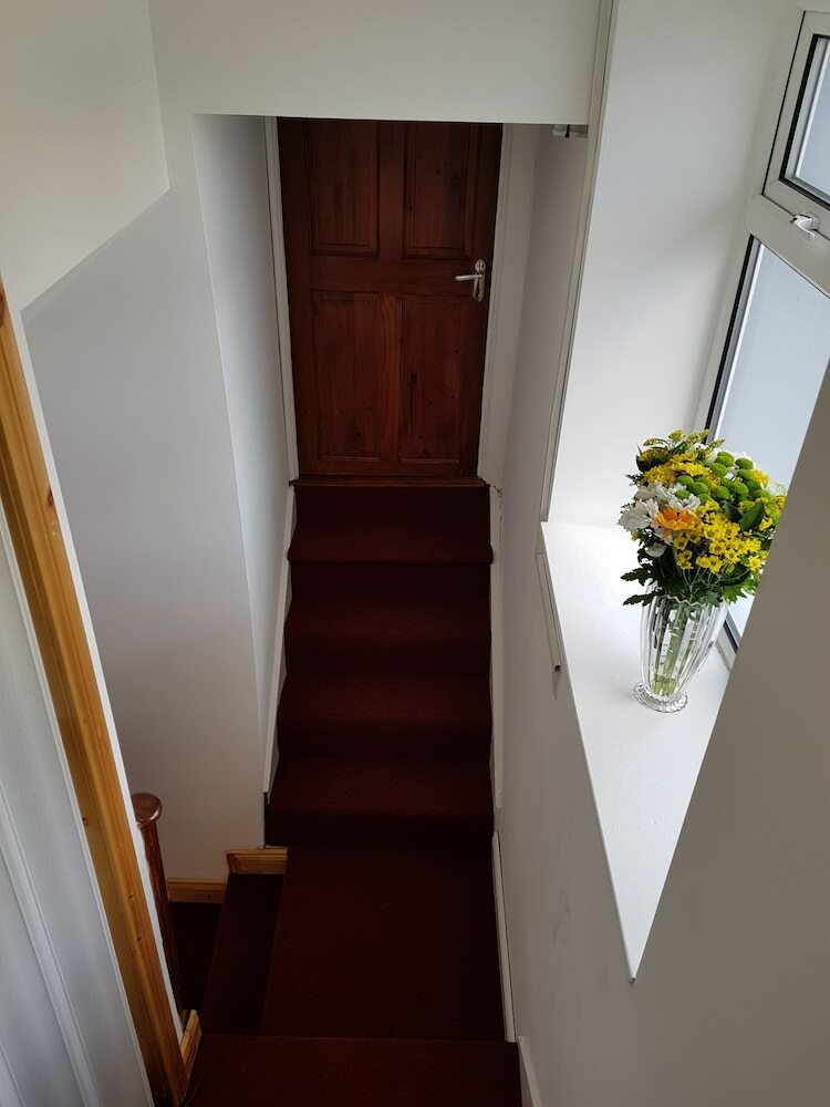 Apartamentos Celticnest