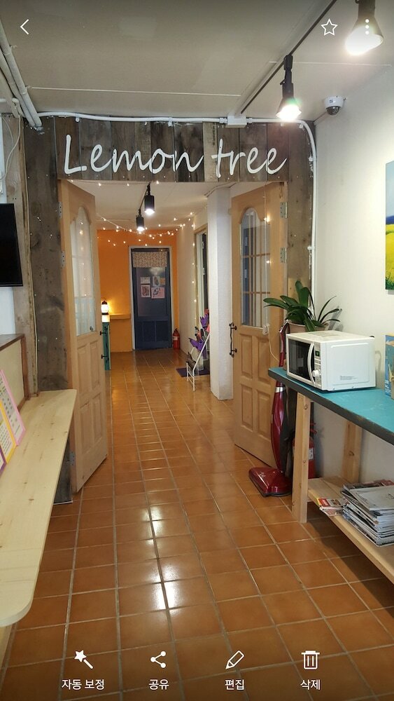 Hostal Lemon Tree Guesthouse 2 - Hostel