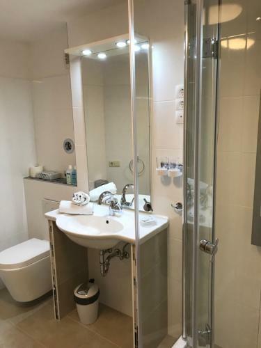 Hotel Schwanen In Der City