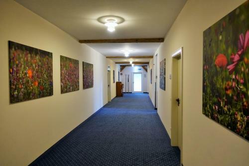 Hostal Tagungshaus Sch�nenberg