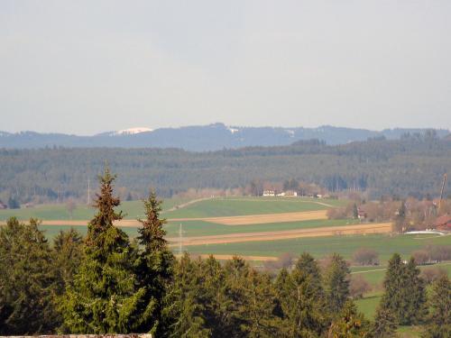 Hochwald