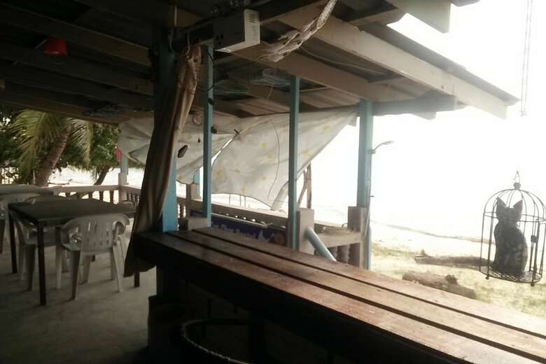 Hostal Dream Cat-cher Hostel