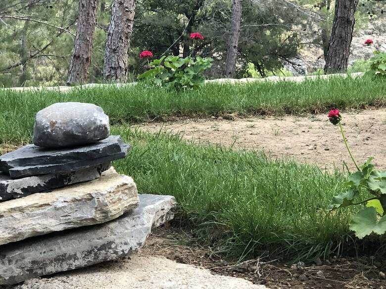 Hotel Durusu Ciftlik Evleri