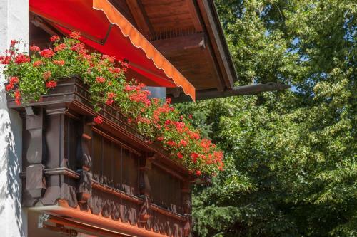 Hotel Alpina