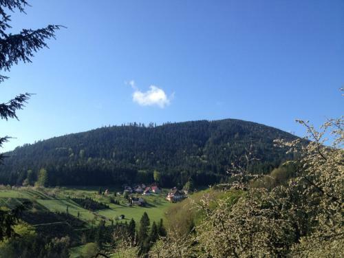 H�henhotel & Restaurant Kalikutt