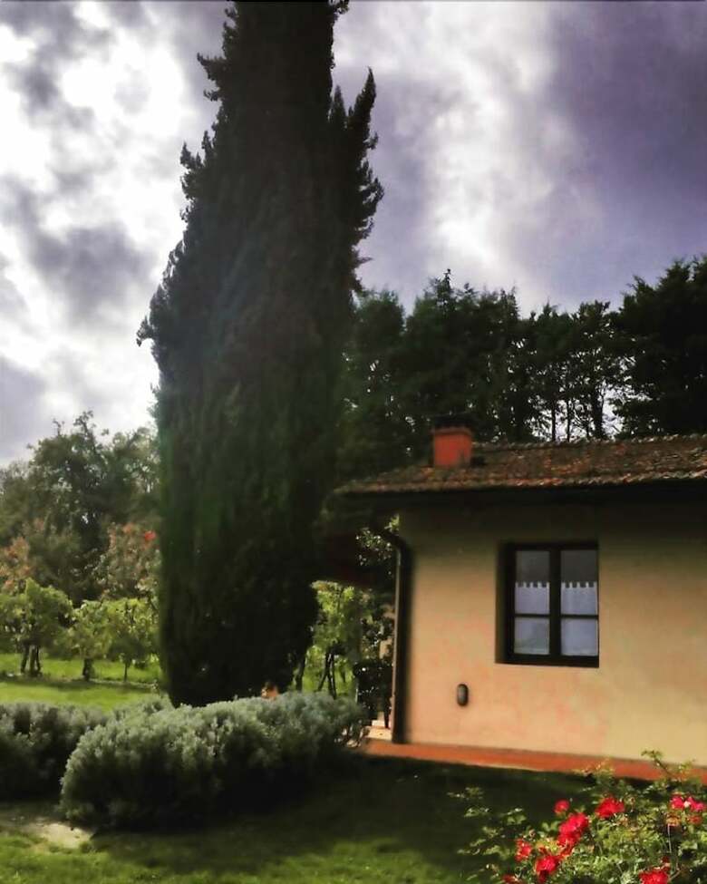 Agroturismo Agriturismo Il Sole Verde