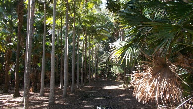Swr Rainforest Retreat 1