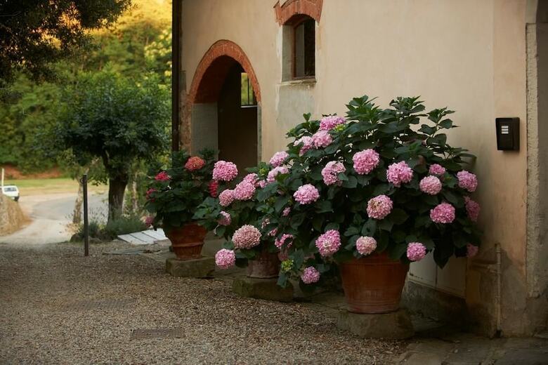 Agroturismo Agriturismo I Bonsi