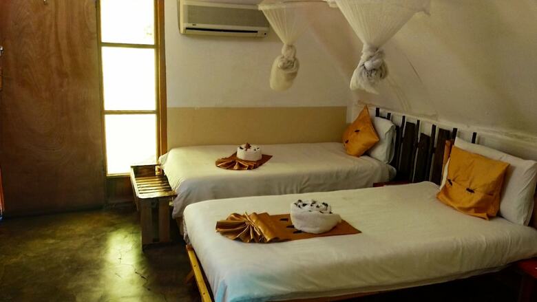 Hostal Elephant Trail Guesthouse And Backpackers