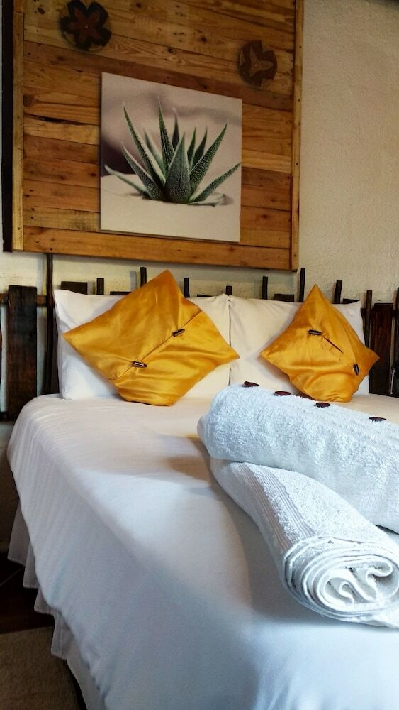 Hostal Elephant Trail Guesthouse And Backpackers